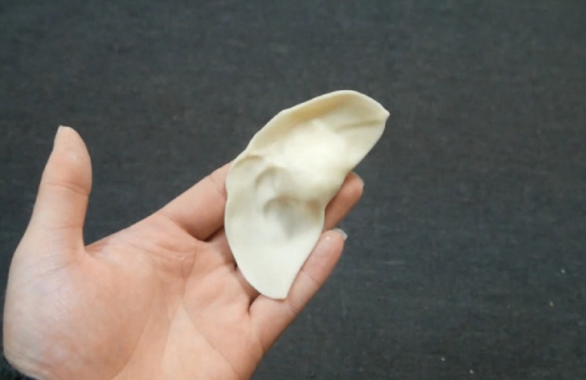 包饺子最快速的方法,一步就完成,外形好看还煮不破,赶紧学学