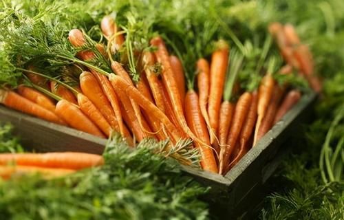 食物|人到中年,常吃3种食物,营养丰富,滋肝补肾,滋补身体