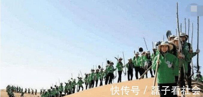 马云|2年了,马云“天价”造的蚂蚁森林,现在长成啥样了成森林了吗