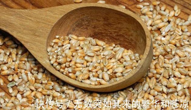 补气除热|一味不被人熟知的良药，李时珍却说它善于“补气除热、敛汗止汗”