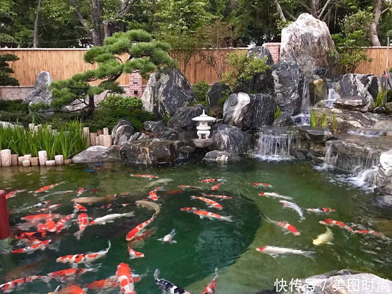 鱼池的设计|庭院鱼池:14个景观鱼池设计,学会这5点可以在院子里挖鱼池了