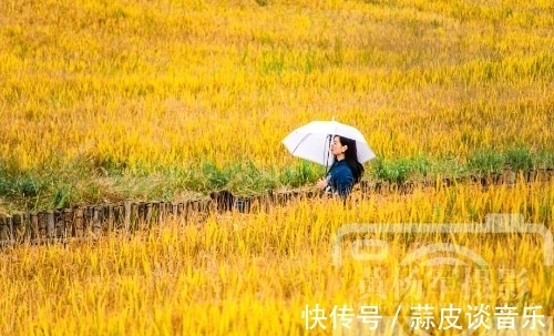 宜居|江西生态最美的山区县，客家梯田面积达4万多亩，景色如画很宜居