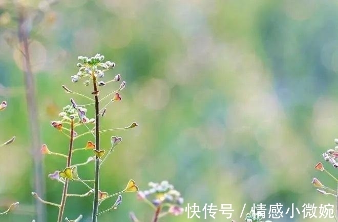 切莫&生活与妙招:18个有趣又聪明的小妙招,摆脱孩子带给你的烦恼