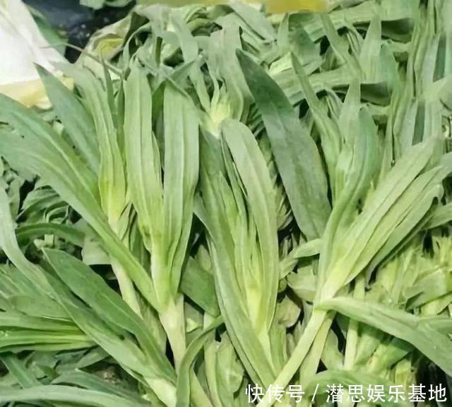 这种植物晒干了泡水喝,能止咳,村里很多老人喝,你见过吗?