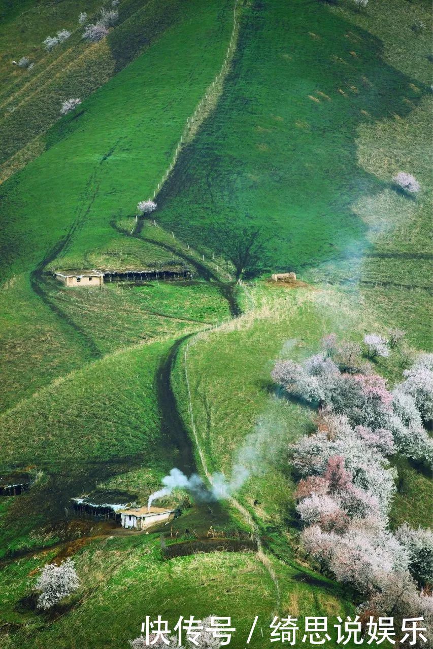 中国春天最美的十二个地方，你最想去哪个