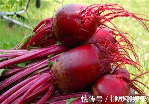 衰老|想长寿全靠吃,4种食物离不开,美容养颜、抵抗衰老