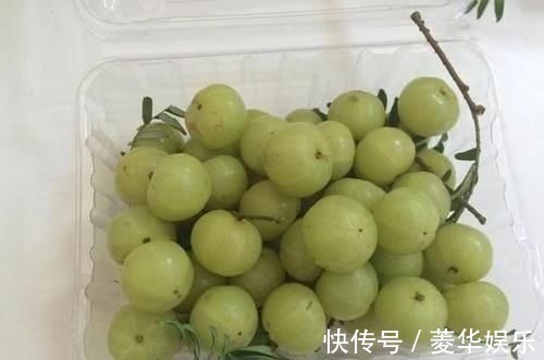 清肠排毒|每天不妨多吃3种食物,营养丰富、延缓衰老,早吃早健康!