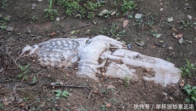 书魂·张柔:轻财重书,《金史》得用(上)韦力撰