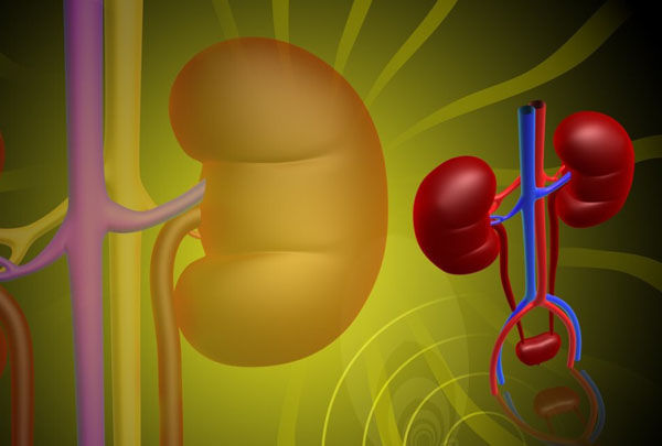 尿毒症|男子肾病十多年反复,中医调理后保持稳定,这2种肌酐升高可恢复