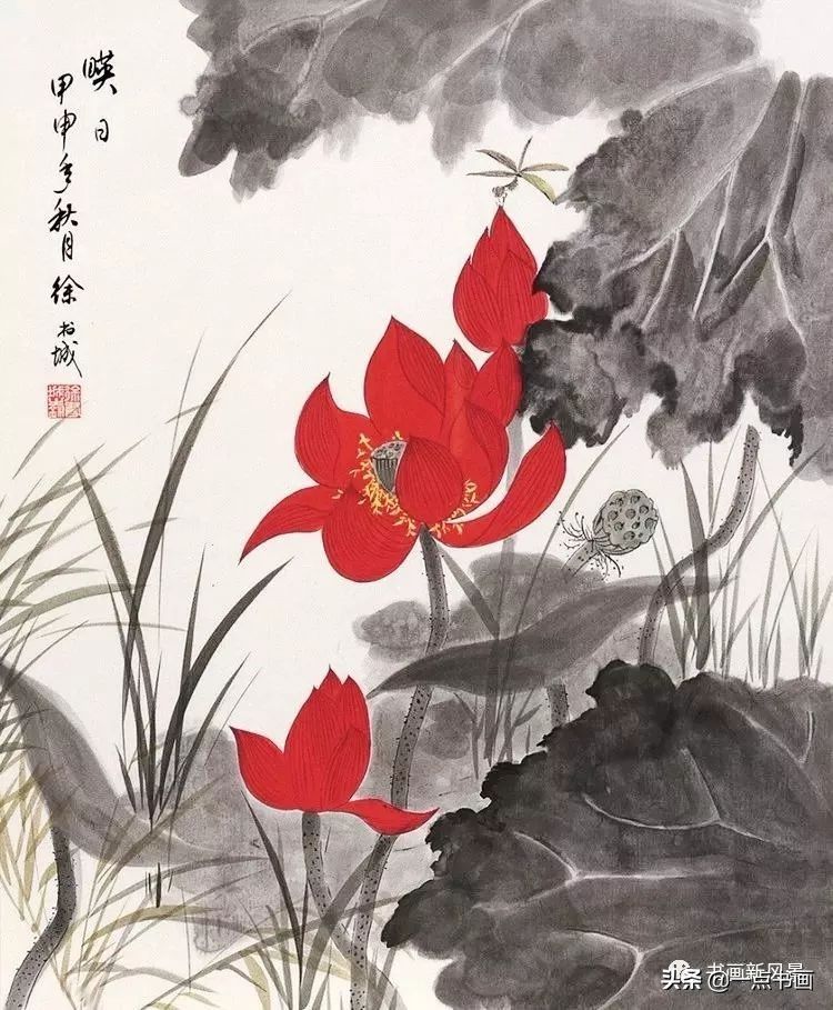 荷花|徐书城画荷花，工写结合，别具一格