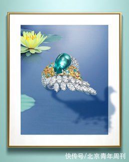 给你，我的新名片，解锁明星B面人生丨Weekly