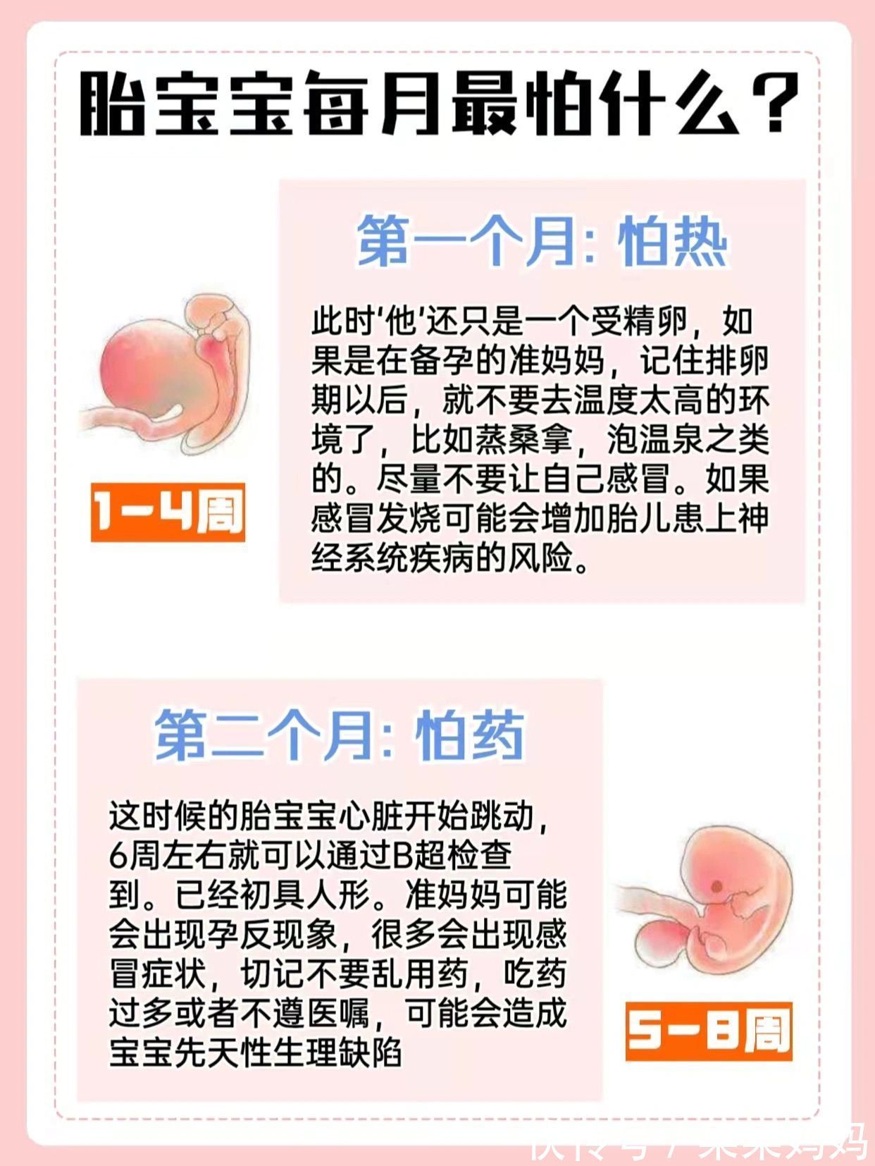 分娩|准妈妈必看孕十月胎儿发育特点及注意事项