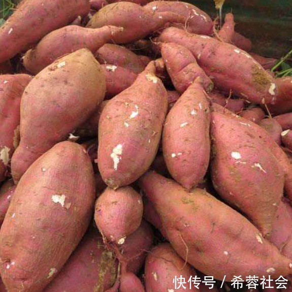 禁忌|吃红薯的3大禁忌,多数人不知道,为了健康你需要了解一下