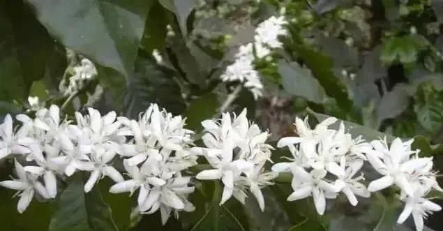  视野|【地理视野】如何分辨生活中常见的岩石种类？