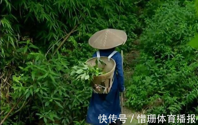早泄|翻出清代“医圣”治阴阳两虚的方子,调和阴阳,男女皆宜!