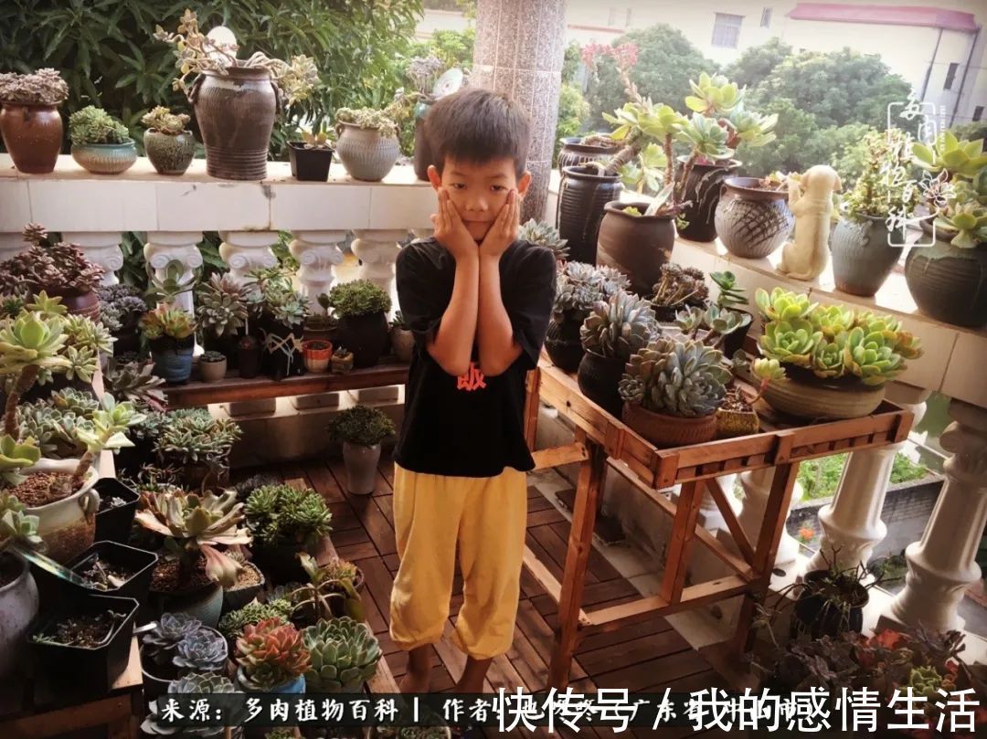 养多肉的路上患得患失，却依然如最初般热爱！