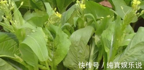 消脂减肥|爱美的女性，不妨常吃3种食物，美白肌肤，滋补肝肾，延缓衰老