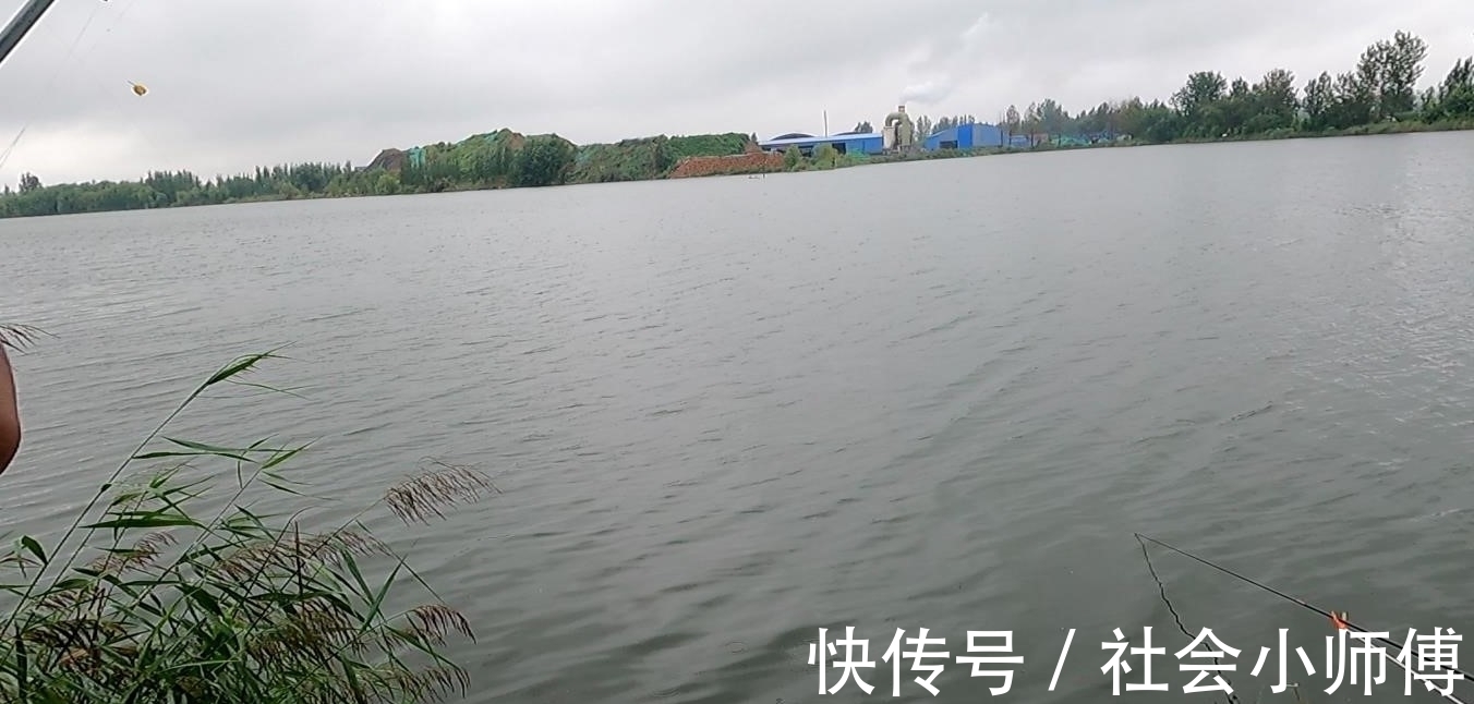 破坏|为了几条便宜鱼，硬生生把自己送进了班房，钓鱼人的天堂遭破坏