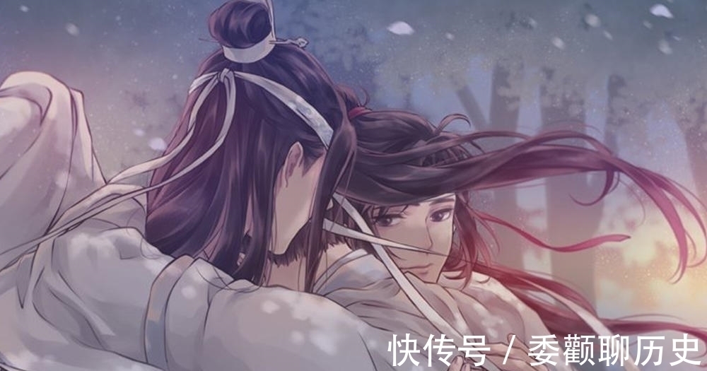 小温苑&《魔道祖师》蓝忘机很会带孩子，扔兔子堆是误解，思追教育得很好