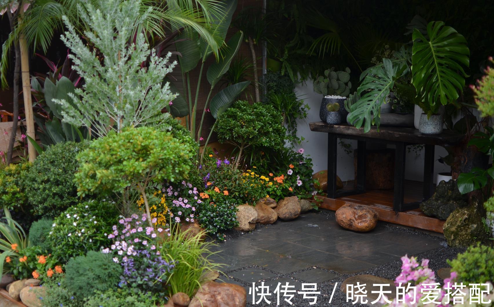 治愈系|小空间庭院花园,正确的绿植搭配技巧,让小院落变身治愈系小花园