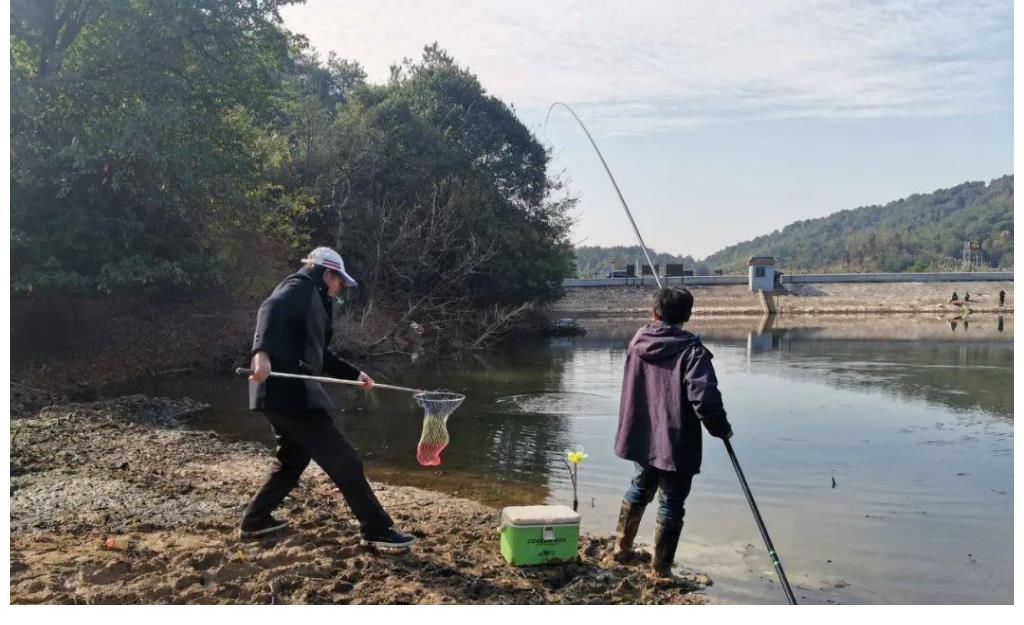 装备|传统钓玩不过台钓？恰恰相反，揭露传统钓不受待见的2个真相