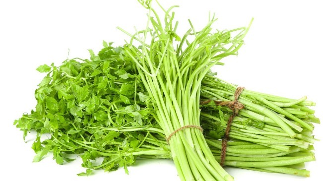 野菜|春天挖野菜,送你56种野菜大图片,带你见识不同的野菜和吃法