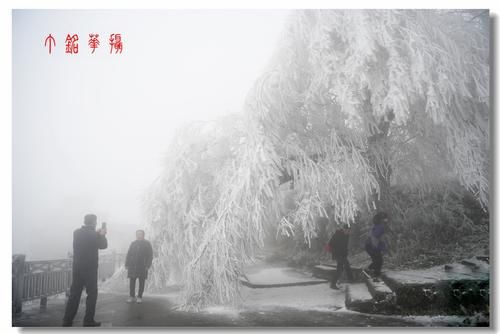 铅山|铅山葛仙山白雪皑皑，犹如冰雪童话世界