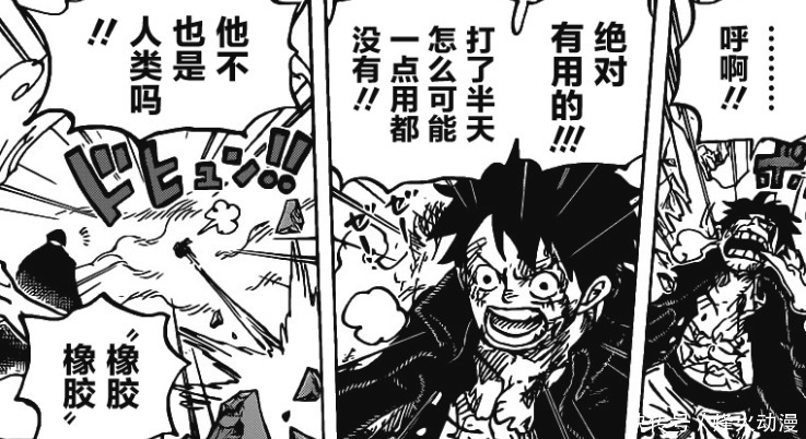 海贼王1008话:战力已崩,超新星强于七武海,索隆或许没武装色