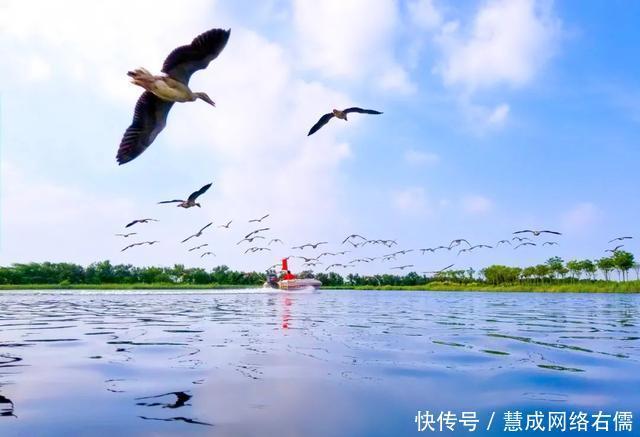 洱海|「我的家乡在河北」春水连天、万鸟翔集！河北版的“苍山洱海”，简直太仙儿了！