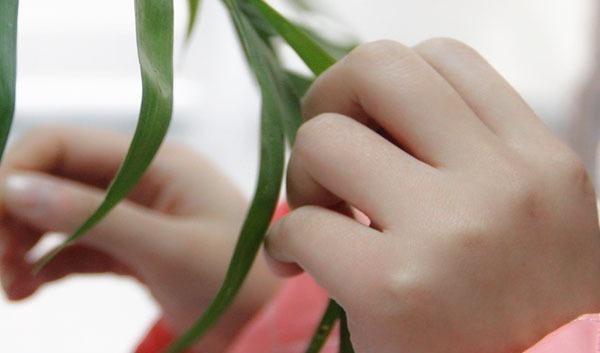 免疫|手上有个“养肺按钮”,每天搓揉三分钟,提高免疫,肺或会更强壮