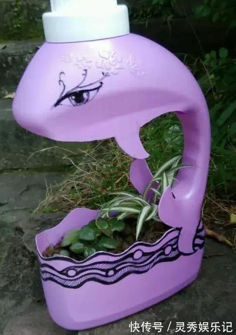 家中用完的“洗衣液桶”别丢了,剪上2刀,秒变养花神器,太美了