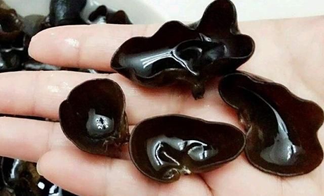 杨柳|别看此物长得丑,却是腹部的天然“吸脂器”,悄悄瘦出“杨柳腰”