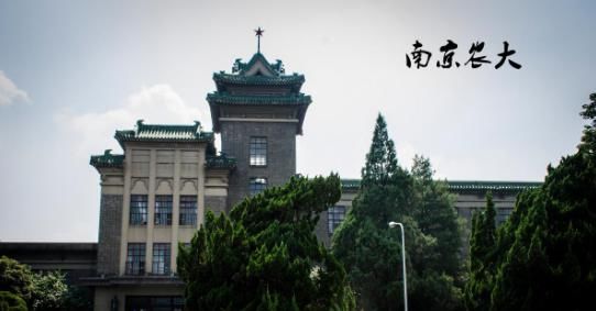 工学院|浙江大学实力如何超越了南京大学：一个合并一个拆