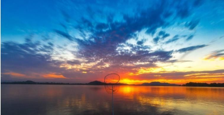 白居易笔下最美的一个秋夜,成为唐诗中的千古经典,字字惊艳