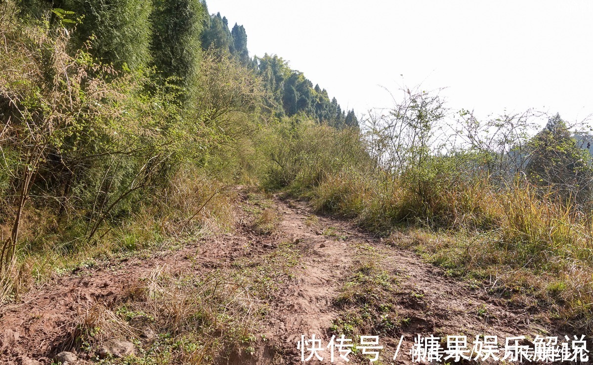 城墙|藏在重庆大山中的清代古寨，隐如世外，一新修公路将打破它的宁静