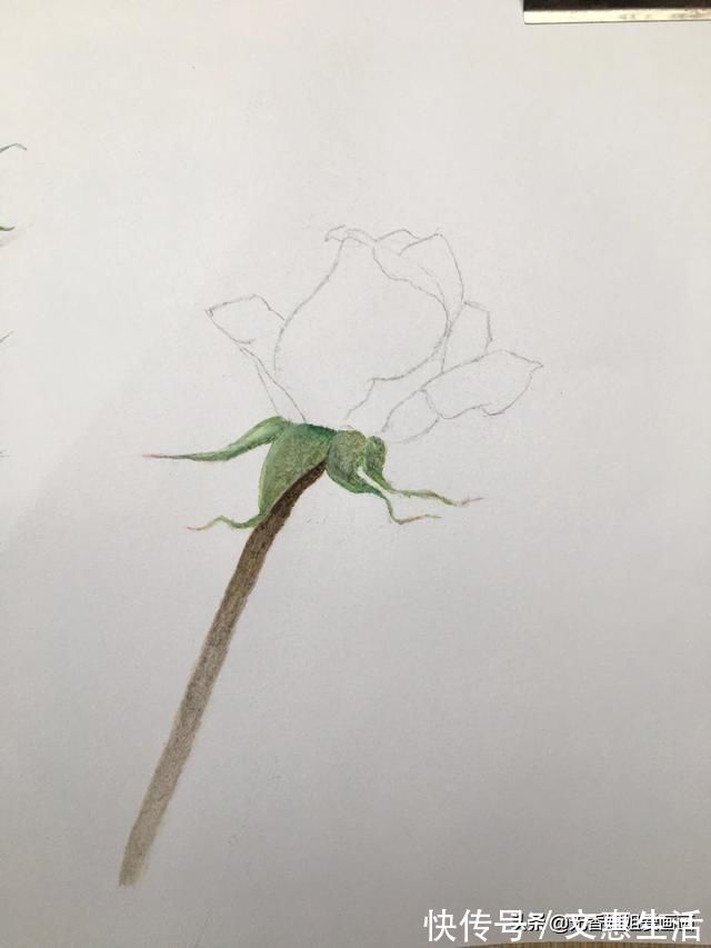 玫瑰花!手绘逼真的玫瑰花,只要四步就能学会,快来看看吧