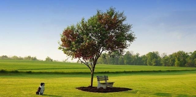 巴结者&人情冷暖,在身份变化中一目了然!