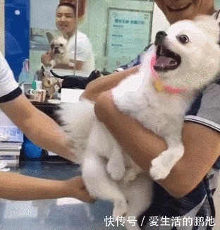 |搞笑GIF:妹子,你是个有才华的人,就是太贪玩了!