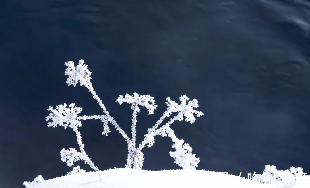 琼瑶@古诗词里的“雪容融”