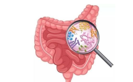 膳食纤维|大便拉不出，总是便秘怎么办？1个小妙招，可助你“一泻千里”