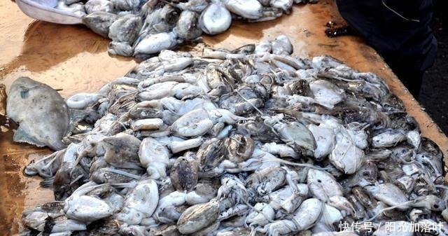 当地|在青岛秋收有很多海鲜,查一下当地纯野生家居用品海鲜
