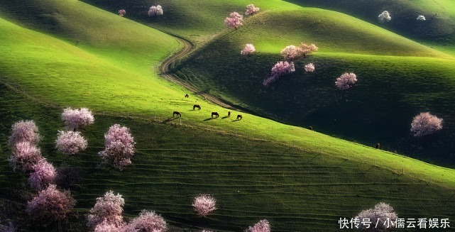 大唐|阳春三月,春回大地,三月赏花好去处