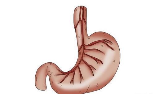 白天好好的,一到晚上睡觉就反复咳嗽,是哪里出问题了?