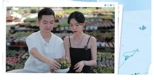 做朋友也没关系：前任身份曝光，男2移情女3，女2被无视太尴尬