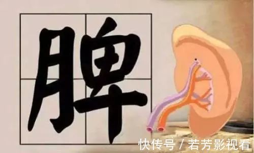 脾脏|身体虚不虚？看嘴就知道！3个保健穴，让你脾胃不再虚！