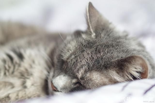 这些事|睡前少做这些事，延年益寿有好处，蜜拓蜜小暑保养建议分享。