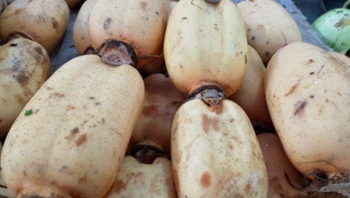 莲藕一焯水就变黑?大厨:牢记一招,保证藕片白净爽脆,更入味