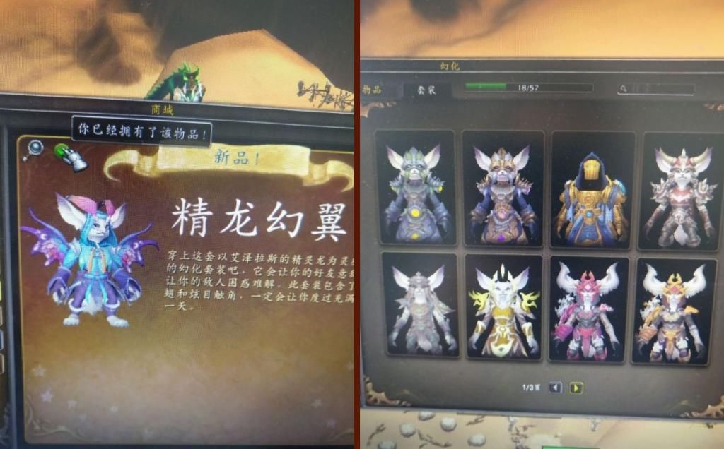 商城|魔兽世界：首次“全球性宕机”，玩家商城幻化被清空，设计师提桶跑路？