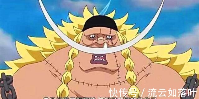 马尔科|《海贼王》中白胡子二世为什么不在白胡子生前出来认亲