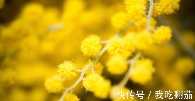 桃花旺|7月27号开始，财神爷点名，桃花旺姻缘好，事业感情顺利的3生肖